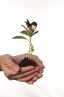 ...A PROČ PRÁVĚ OKG?